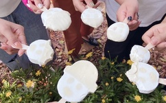 青青草视频无vip